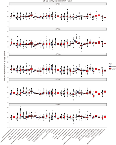 Figure S1 Boxplot of EIF2B family’s expression in TCGA.Abbreviation: TCGA, The Cancer Genome Atlas.