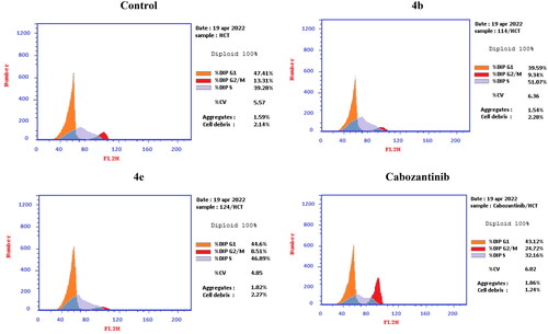 Figure 10. Representative cytograms of apoptotic HCT-116 cells induced by 4b and 4e compared to cabozantinib for 24 h.