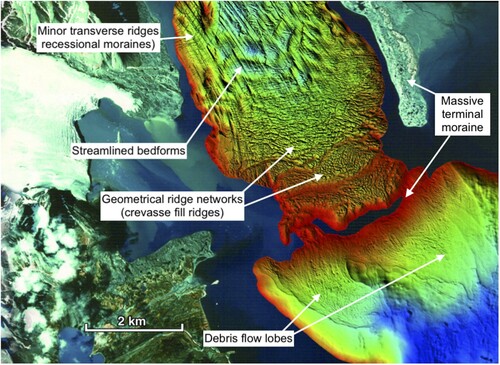 Figure 7. Submarine landforms created by the tidewater surging glacier Borebreen, Svalbard. Colours represent water depth from ∼10 m (red) to ∼100 m (blue). Adapted from Ottesen and Dowdeswell (Citation2006).