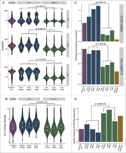 Figure 4. ECGI are hubs for genomic contacts (A) Distribution of the average CTCF (from H1ESC), cohesin/Rad21 (from MCF7 cells), or BRD4 (from MM.1S) ChIP-seq tag densities (reads/kb) among promoter CGI vs. ECGI or classical enhancers active in the indicated cell type. Genomic loci defined as in Fig. 1. (B) Annotated intrachromosomal contacts as defined by Rao et al.Citation42 were extracted from K562 cell Hi-C data, overlapped with the genomic loci in each class, and the average strength of all contacts per locus was determined. Shown is the distribution of the mean intrachromosomal contact strength among promoter CGI vs. ECGI or classical enhancers active in the indicated cell type. (C) The fraction of loci in each genomic class that overlap an annotated contact as determined by ChIA-Pet of CTCF in K562 cells or of RNA polymerase (POLR2A) in MCF7 cells (ENCODE). (D) Median distance from TAD boundaries among genomic loci in each class as called in GM12878 cell Hi-C data.Citation42