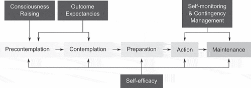 FIGURE 1. Overview of the stages of change from the transtheoretical model (Prochaska & Velicer, Citation1997) and information/insight-related processes of change that can aid progress through these stages.
