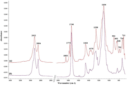 Figure 3. FT-IR spectra of ECO_POSS1Ep: (a) before and (b) after curing.