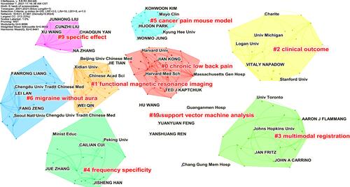 Figure 4 Author-institution collaboration map related to fMRI studies on acupuncture analgesia.