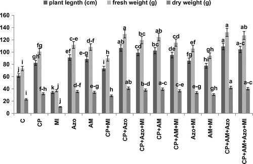 Figure 1. Interactive effects of Meloidogyne incognita, Glomus fasciculatum, Azotobacter, in Calotropis procera-amended soil on the plant length, fresh, and dry weight of chickpea Cicer arietinum.