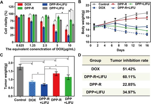 Figure 9 (A) Cell vitality of MGC-803 incubated with different formulations of different agents. (B) Body weight of orthotopic tumor-bearing nude mice in different groups during therapy period. (C) Posttreatment tumor weight and (D) tumor inhibition rate of orthotopic tumor-bearing nude mice in different groups. (The data were shown as mean±SD, n=3, *p<0.05).