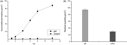 Figure 4. (A) Accumulative amount of drug permeated in 12 h and (B) the amount of drug remained in the skin of the transfersomes gel and the Lamisil cream. Data represents mean with standard deviation at n = 3.