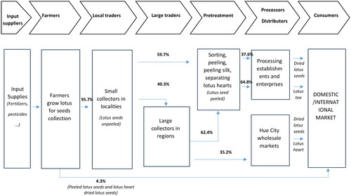 Figure A2. Lotus value chain in Central Vietnam (source: Authors’ calculations).