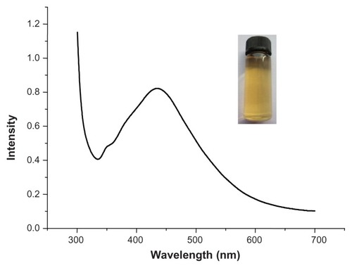 Figure 1 UV-vis spectrum of purified Ag egg-white nanoparticles.Note: Inset shows a typical optical image of the resulting product.