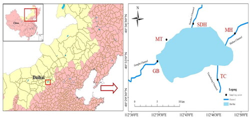 Figure 1. Geographic position and sampling sites location in the Daihai Lakeshore.