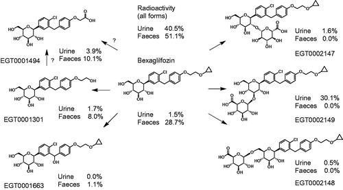 Figure 4. Relative disposition of bexagliflozin in human excreta. The percentages shown represent the proportion of input radioactivity recovered in the specified form.