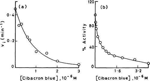 Figure 1 Effect of cibacron blue on the initial velocities of 3-HBA-6-hydroxylase; a) activity measured by fluorimetric assay. b) activity measured by polarographic method.