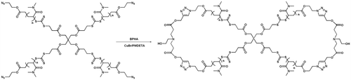 Scheme 2 Synthesis of 8-shaped PDMA via click reaction.