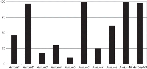 Fig. 1. Percentage of Leptosphaeria maculans isolates carrying each avirulence gene. Data represent 47 isolates for AvrLepR3, 87 isolates for AvrLm1 and AvrLm2, 94 isolates for AvrLm6 and 96 isolates for all other avirulence alleles. AvrLm8 was not assessed.