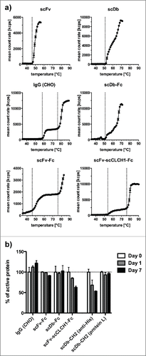 Figure 5. a) Thermal melting points of IgG and Fc fusion proteins determined by dynamic light scattering using 1°C intervals and 2 min equilibration time. A drastic increase in mean count rates is defined as melting point and indicated by dashed lines. b) In vitro serum stability of IgG and Fc fusion proteins. Proteins were incubated with mouse serum at 37°C for up to 7 d and active protein was determined by ELISA (IgG and Fc fusion proteins with an anti-Fc antibody, scDb-CH2 either with an anti-His-tag antibody or protein L).