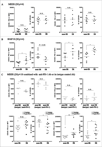 Figure 5. Flow cytometry analysis of CD45− cells or CD45+ cells in tumor tissues. Quantification of PD-L1 MFI and cell frequencies were measured. (A) Day 3 after completion of 2 Gy × 4 fractionated RT in MEER tumors. (B) Day 3 after completion of 2 Gy × 4 fractionated RT in B16F10 tumors. (C) Day 4 after completion of fractionated RT (2 Gy × 10) combined with anti-PD-1 Ab or its isotype control Ab in MEER tumors. Each mouse had two tumors in neck and flank, and only neck tumor was irradiated. *p < 0.05, **p < 0.01; paired t-test.
