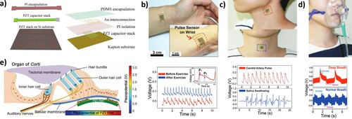 Figure 17. (a) PZT capacitor stacks fabricated on Si wafer and encapsulate with polyimide (PI) on a Kapton substrate produced by Lu et al. [Citation272]. Devices conformationally attached to human skin with biocompatible liquid bandage sensing, (b) wrist, (c) artery pulse and (d) respiration [Citation277]. (e) PZT system which lies underneath the BM of the ear proposed by Lee et al. [Citation278]. (Reproduced from Ref [272], licensed by Springer Nature, open access article distributed under the terms and conditions of the Creative Commons Attribution (CC BY) license (http://creativecommons.org/licenses/by/4.0/)). Reproduced from Ref [277] and [278] with permissions of John Wiley and Sons (2017 and 2014 respectively)).
