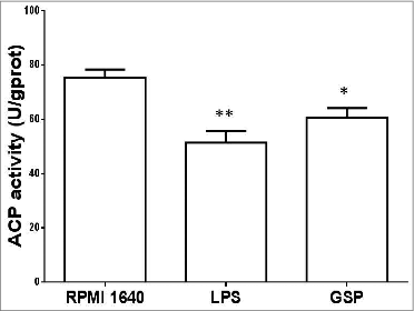 Figure 5. Measurement of ACP activity. BMDCs are cultured in each of the 3 media for 48 h, and ACP activity was measured (RPMI 1640 vs. LPS: <0.01; RPMI 1640 vs. GSPs: <0.05).