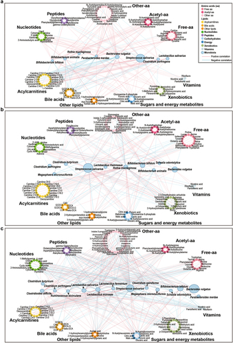 Figure 3. Networks of interactions between the gut microbiota and fecal metabolites in the NB group, 4 M group and 12 M group at the species level. (a) NB group, (b) 4 M group and (c) 12 M group. The size of the microbial node indicates the relative abundance of the bacteria.