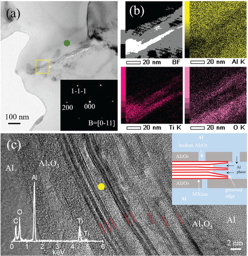 Figure 3. (a) TEM image of a 0.26 vol.% FLM/Al composite in the longitudinal cross-section; (b) ABF-STEM image and corresponding EDS maps of elemental Al, Ti, and O taken from the yellow square in (a); (c) HRTEM image of the FLM-Al interface. Inset in (a) shows the SAED pattern of Al taken from the green spot. Insets in (c) show the EDS analysis taken from the yellow spot, and the schematic of the Al filled into the grooved edge of the FLM, respectively.