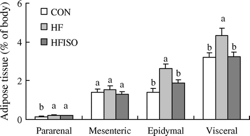 Fig. 2. Effect of dietary isoflavone mixture on the adipose tissue.Notes: Each value is expressed as the mean ± SEM. n = 5–7 for each group. Values without a common letter differ significantly (p < 0.05). CON, basal diet group; HF, high-fat diet group; and HFISO, high-fat diet group with isoflavone mixture.