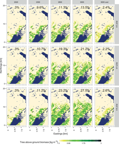 Figure 5. Larch aboveground biomass (AGB) simulated for years Citation2020 to Citation3000 CE under three Representative Concentration Pathway (RCP) scenarios and for the final year under the cooling scenarios after 2300 CE. Forested areas with an AGB > 0.68 kg m2 are given in percent in each plot.