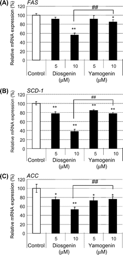 Fig. 3. Yamogenin decreased mRNA expression levels of fatty acid synthesis-related genes in HepG2 hepatocytes.Notes: The mRNA expression levels of FA synthesis-related genes, FAS (A), SCD-1 (B), and ACC (C), were measured using HepG2 hepatocytes treated with diosgenin or yamogenin at the indicated concentrations for 24 h. The value of a vehicle control was set at 100% and relative value is presented as fold induction with respect to that of each vehicle control. The values are means ± S.E.M. of four samples in the measurement of TG accumulation. *p < 0.05 and **p < 0.01 compared with each vehicle control and ##p < 0.01 compared between the indicated groups.