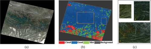 Figure 10. (a) Original image. (b) Region quality grading result. (c) Some examples of ‘Good’ regions.