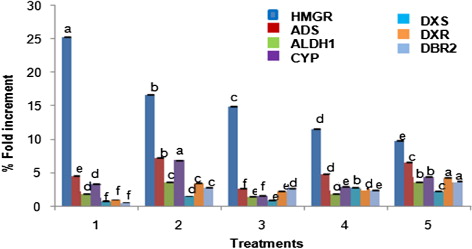Figure 6. Transcript abundance of the hmgr, ads, cyp71av1, aldh1, dxs, dxr, and dbr2 genes in comparison to calibrator in hairy roots of A. annua L. Values are the means of three independent experiments ± SE. Letters indicate statistical differences at P = 0.05.