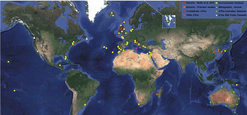Fig. 2. Overview of biogeographic evidence in the marine genus Olpidiopsis. Worldwide evidence of the occurrence of marine Olpidiopsis parasites, including the GPS coordinates of all molecular data (Fig. 1) collected in this study, additional morphological reports of marine Olpidiopsis and a selection of red algal pathogens of doubtful taxonomic position (inland points represent missing locations), summarized in Supplementary table S1. Stars: Genuine Olpidiopsis isolates; Squares: GenBank environmental sequences; Triangles: morphological reports; Dots: Operational Taxonomic Units gathered from the Sequence Read Archive (yellow), Tara Oceans (purple), the Australian Marine Dataset (green) and P. umbilicalis microbiome (red). Individual maps of each SRA-OTUs are provided in Supplementary figs S2–S13.