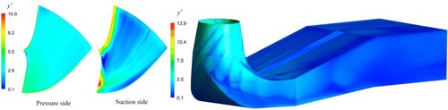 Figure 5. Distribution of y+ on the runner blade and draft tube wall.