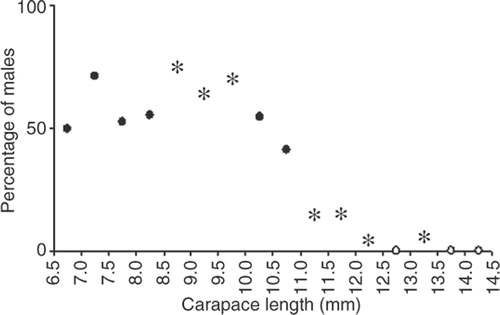 Figure 5. Nematopalaemon schmitti. Sex ratio as percentage of males in relation to size, with indication of those values showing statistically significant difference from 1:1 ratio (*), nonsignificant (•), or only one sex (◯).