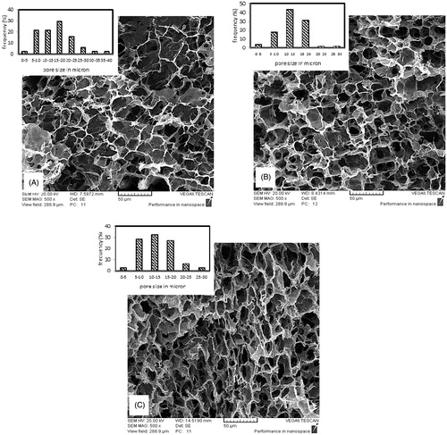 Figure 3. Cross sectional SEM image of scaffolds prepared by 3 wt % polymer solution concentration, Gel/PVA ratio of 7:3 and GA/Gel ratio of (A) 0.7 (B) 1.4 (C) 2.8.