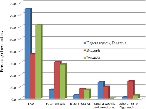 Figure 2. Farmers perceptions on the importance of BXW compared with other banana pests and diseases.