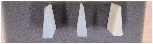 Figure 3. Tissue/organ test models of varying hardness.