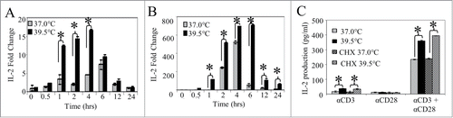 Figure 2. Mild heating enhances IL-2 and IL-2 mRNA production in Jurkat T cells. Following pre-incubation at 37°C or 39.5°C for 6 hours, Jurkat T cells were then stimulated with anti-CD3 Ab alone (0.1 µg/ml) (A) or anti-CD3 Ab in combination with anti-CD28 Ab ( both at 0.1 µg/ml) (B) at 37°C for different times as shown. The level of IL-2 mRNA was measured by quantitative real time RT-PCR (A and B) as described in supplemental methods. GAPDH was used as loading control for both experiments. Ct values were first normalized to GAPDH, then normalized to the Ct value of the 37°C group at the 0 time point. (C) CD4+ T cells isolated from human peripheral blood were incubated at 37 (gray bars) and 39.5°C (black bars) in the presence of cyclohexamide (striped bars) for 6 hours. Cyclohexamide was removed from the culture media and cells were stimulated using different stimuli at 37°C for 24 hours before IL-2 production was measured by ELISA. *p < 0.05, when comparing the data at 37 vs. 39.5°C using an unpaired Student's t-test. The results are expressed as the mean ± s.d. and are representative of 3 or more independent experiments.