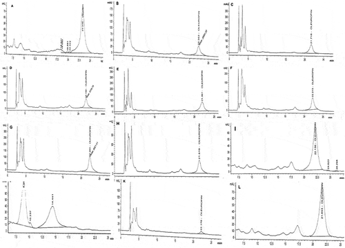 Figure 3. DAD chromatograms at 240 nm of methanol extracts of olive samples debittered by β-glucosidase in different concentrations. (A) 0.25% ICE, 6 h process; (B) 0.5% ICE, 6 h process; (C) 1% ICE, 6 h process; (D) 0.25% CE, 6 h process; (E) 0.5% CE, 6 h process; (F) 1% CE, 6 h process; (G) 0.1% E, 6 h process; (H) SPMN, 6 h process; (I) 1% IE, 6 h process; (J) 1% IE, 22 h process; (K) sctracthing method, 33 days process; (L) debittering with water 33 days process.Figura 3. Cromatogramas DAD (detector de red de diodos) a 240 nm de extractos de metanol de muestras de aceitunas desamargadas usando β-glucosidasa en distintas concentraciones. (A) 0.25% ICE, proceso de 6 horas; (B) 0.5% ICE, proceso de 6 horas; (C) 1% ICE, proceso de 6 horas; (D) 0.25% CE, proceso de 6 horas; (E) 0.5% CE, proceso de 6 horas; (F) 1% CE, proceso de 6 horas; (G) 0.1% E, proceso de 6 horas; (H) SPMN, proceso de 6 horas; (I) 1% IE, proceso de 6 horas; (J) 1% IE, proceso de 22 horas; (K) método de rascado, proceso de 33 días; (L) desamargado con agua, proceso de 33 días.