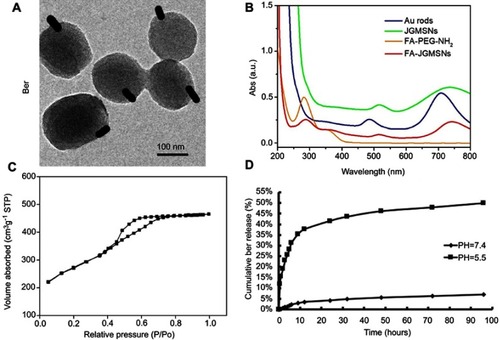 Figure 1 Characterization of FA-JGMSNs: (A) TEM images, (B) UV-vis absorption spectra, (C) N2 adsorption/desorption isotherms of FA-JGMSNs, and (D) Drug release behavior of FA-JGMSNs-Ber at different pH values as a function of cumulative time.