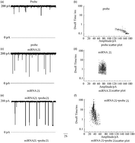 Figure 2. Nanochannels detection of various nucleic acid samples and corresponding scatter diagrams.