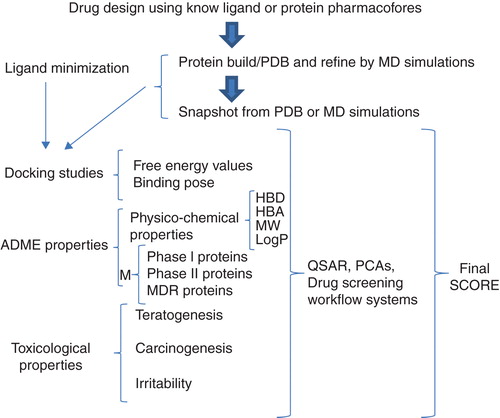 Figure 1. Theoretical strategy for obtaining the best drugs, including the target and the other pharmacological properties, through in silico studies.