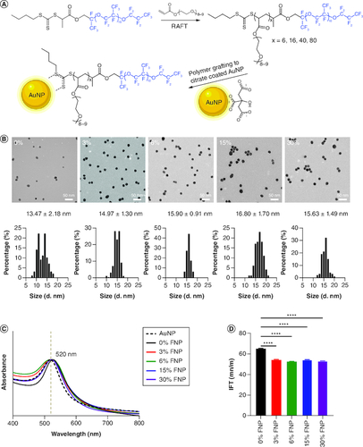 Figure 1. Characterization of polymer-coated gold nanoparticles.(A) Synthesis of polymers and surface grafting of gold nanoparticles by fluorine polymers. (B) Transmission electron microscopy and histography of polymer-coated gold nanoparticles. (C) UV-VIS of polymer-coated gold nanoparticles from 400 to 800 nm. (D) Interfacial tension of polymer-coated gold nanoparticles at the water–air interface. ****p ≤ 0.0001; one-way analysis of variance, Dunnett's multiple comparisons test.AuNP: Gold nanoparticle; FNP: Fluoro–gold nanoparticle; IFT: Interfacial tension; RAFT: Reversible addition fragmentation chain transfer.