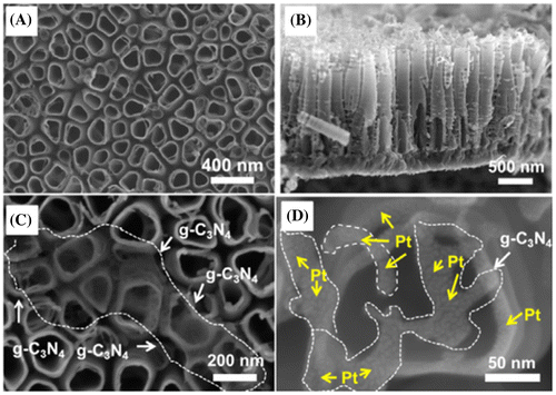 Figure 9. Scanning electron microscopy images showing (a) top and (b) side view of TiO2 nanotube arrays, (c) TiO2 nanotube/C3N4 and (d) TiO2 nanotube/C3N4/Pt. Reprinted with permission from Ref. [Citation115]. Copyright 2016 John Wiley & Sons.