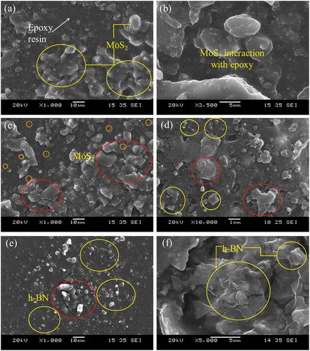 Figure 13. SEM images: (a-b) 2 wt.% MoS2-epoxy, (c-d) 8 wt.% MoS2-epoxy, (e) 2 wt.% h-BN-epoxy and (f) 8 wt.% h-BN-epoxy composites.