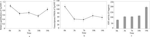 Figure 9. Expression of the Tggst2 and GST activity from T.gibbosa at different stages of congo red treatment. (a) Expression of the Tg-gst2 by Real time qPCR; (b) Expression of the Tggst2 by transcriptional sequencing; (c) GST activity.