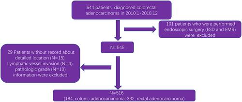 Figure 2 Flow chart of patient information extraction from the First Affiliated Hospital of Nanchang University.