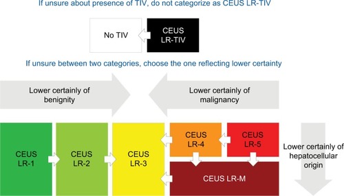 Figure 19 CEUS LI-RADS tiebreaking rules.