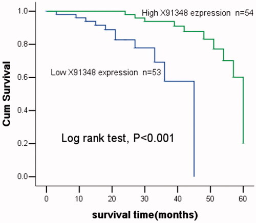 Figure 4. Kaplan–Meier analysis for overall survival of patients with HCC stratified by the expression of X91348. Patients with high X91348 expression lived longer than those with low X91348 expression (Log rank test, p< .001).