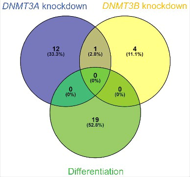 Figure 5. Upregulated circRNAs upon differentiation is unlikely to be regulated by DNA methylation. Venn diagram illustrating the overlap of circRNAs upregulated independent of their linear host genes upon differentiation, -upon DNMT3A knockdown and – upon DNMT3B knockdown.