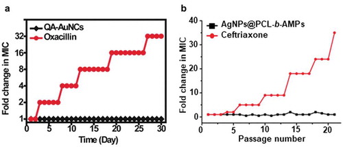 Figure 7. Development of resistance against antibiotics upon bacterial exposure to nano-antimicrobials as compared with exposure to existing antibiotics. (a). Development resistance toward S. aureus exposed to quaternary ammonium modified gold nanoclusters (QA AuNCs) as compared with the development of resistance against oxacillin [Citation157]. (with permission from Wiley-VCH Verlag GmbH & Co). (b). Development of resistance toward P. aeruginosa exposed to poly(ε-caprolactone)-b-antimicrobial peptide coated Ag nanoparticles (AgNPs@PCL-b-AMPs) as compared with the development of resistance against ceftriaxone [Citation158] (with permission from ACS Publications).