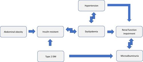 Figure 4 Vicious cycle of metabolic syndrome and microalbuminuria.