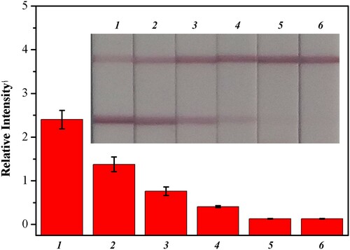 Figure 7. Sensitive detection of Pb(II) enriched from lake water by Fe3O4@NH2. The Pb(II) strip (inset) responses to negative lake water without Pb(II) added (strip 1), to different concentration of Pb(II) spiked (strip 2: 2 ng/mL; strips 3: 5 ng/mL; strip 4: 10 ng/mL; strip 5: 20 ng/mL; strip 6: 50 ng/mL).